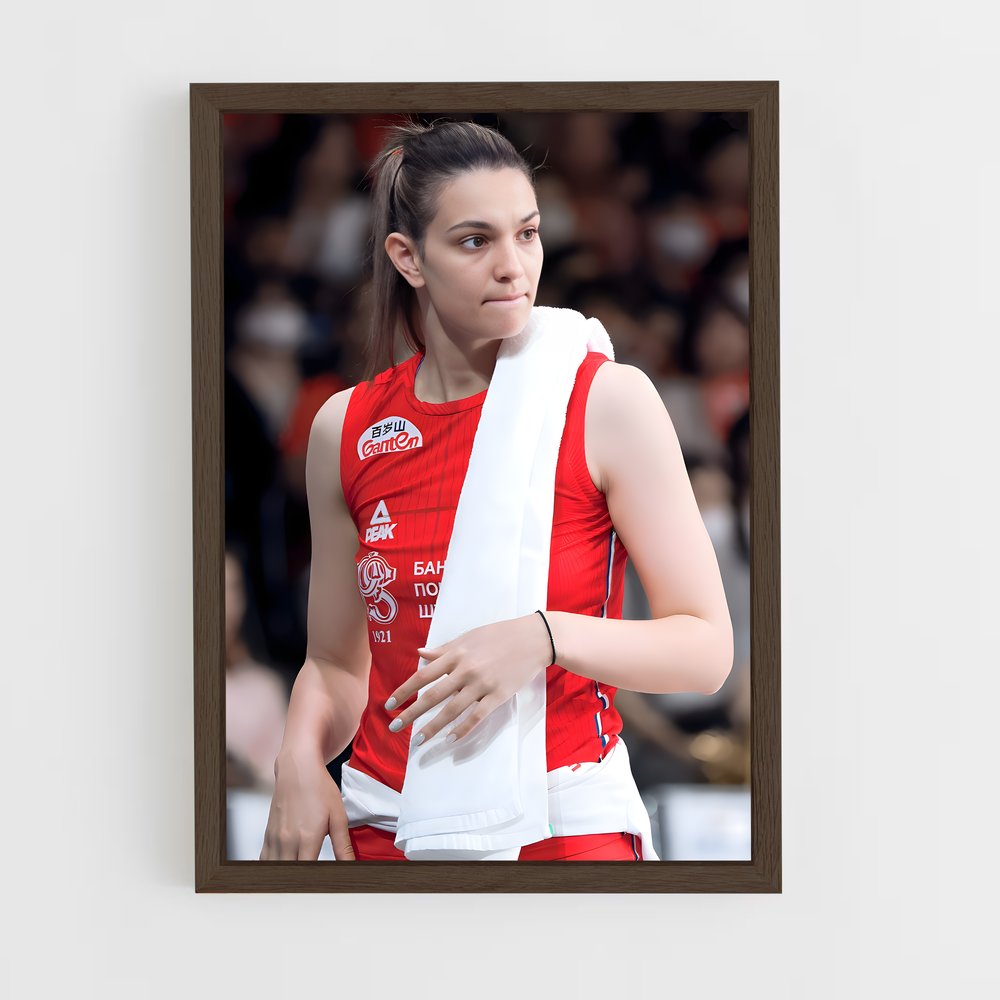 Poster Serbia de national – affiche Volleyball (vue 5)